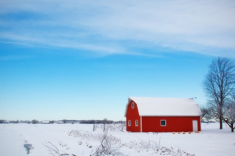 Willowbrook Farm