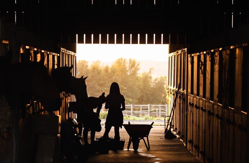 Sunset Ridge Barn