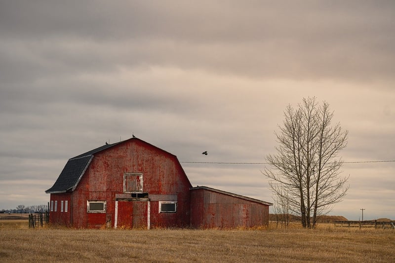 Rustic Barn at Willow Creek